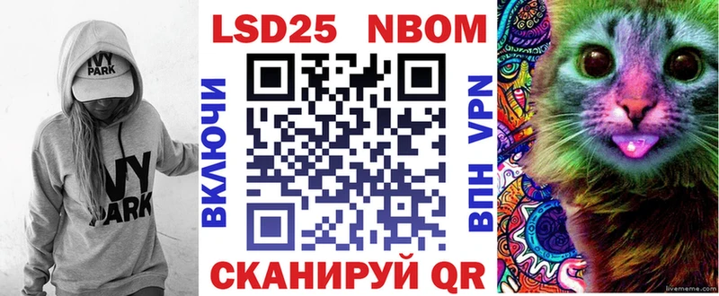 где можно купить   Очёр  Марки N-bome 1,5мг 